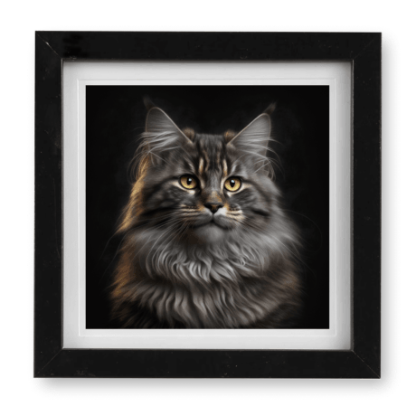 Maine Coon v1