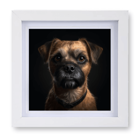 Border Terrier v2