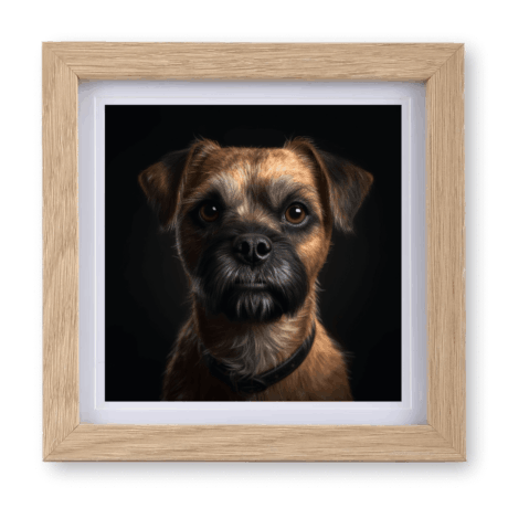 Border Terrier v2