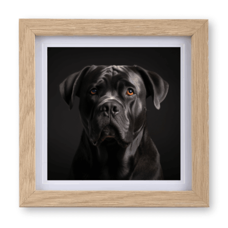 Cane Corso v1