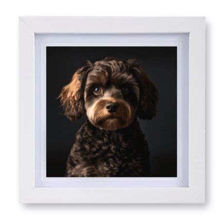 Cavapoo v5