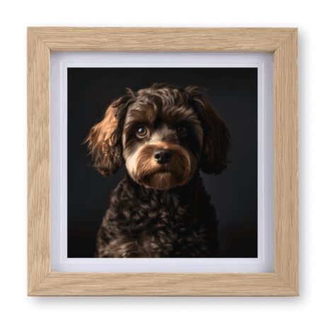 Cavapoo v5