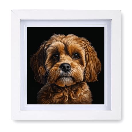 Cavoodle v1