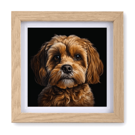 Cavoodle v1