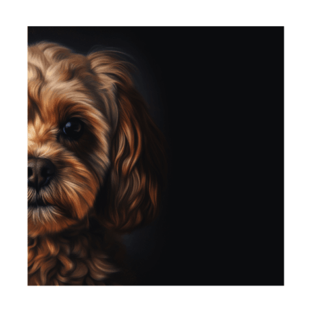 Cavoodle v3