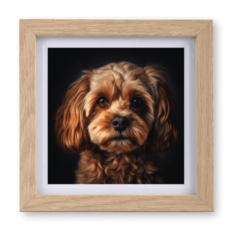 Cavoodle v3