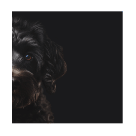 Cockapoo v2