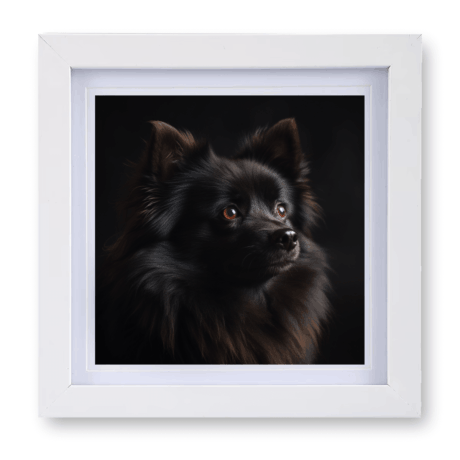 German Spitz v1