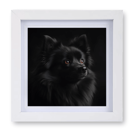 German Spitz v4