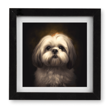 Lhasa Apso v1