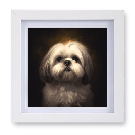 Lhasa Apso v1