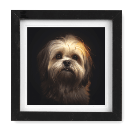 Lhasa Apso v2