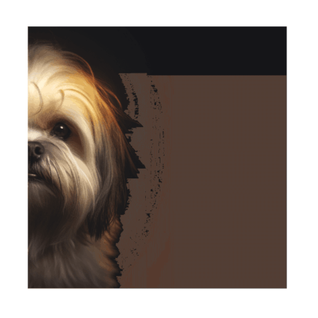 Lhasa Apso v2