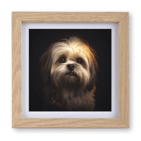 Lhasa Apso v2