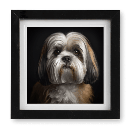 Lhasa Apso v4