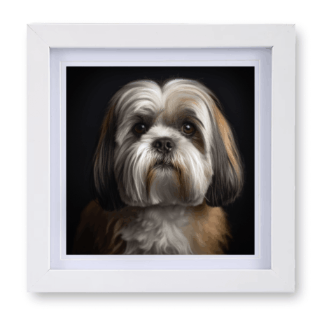 Lhasa Apso v4