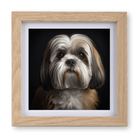 Lhasa Apso v4