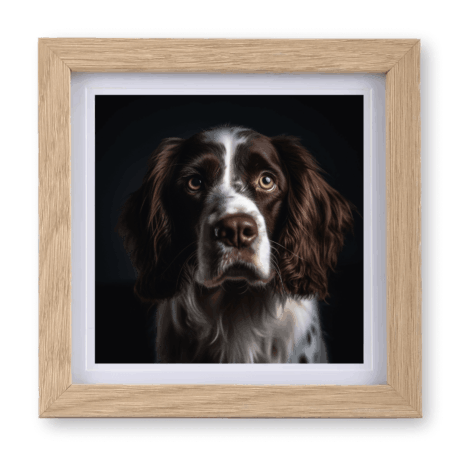 Springer Spaniel v3