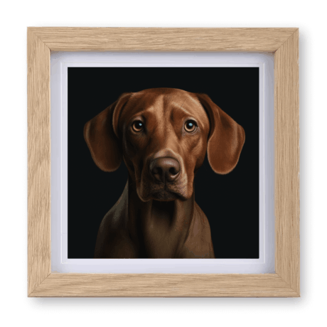 Vizsla v1