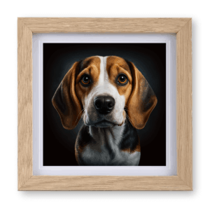 Beagle v1