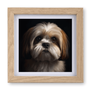 Lhasa Apso v3