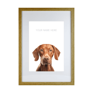 Vizsla v2