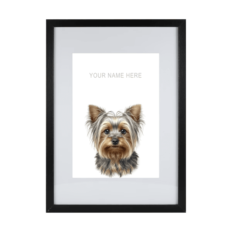 Yorkshire Terrier v2
